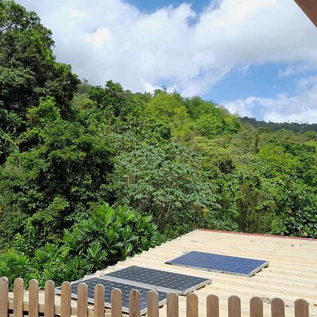 La Poulette Amazonienne Villa Rivière-Pilote Eksteriør billede