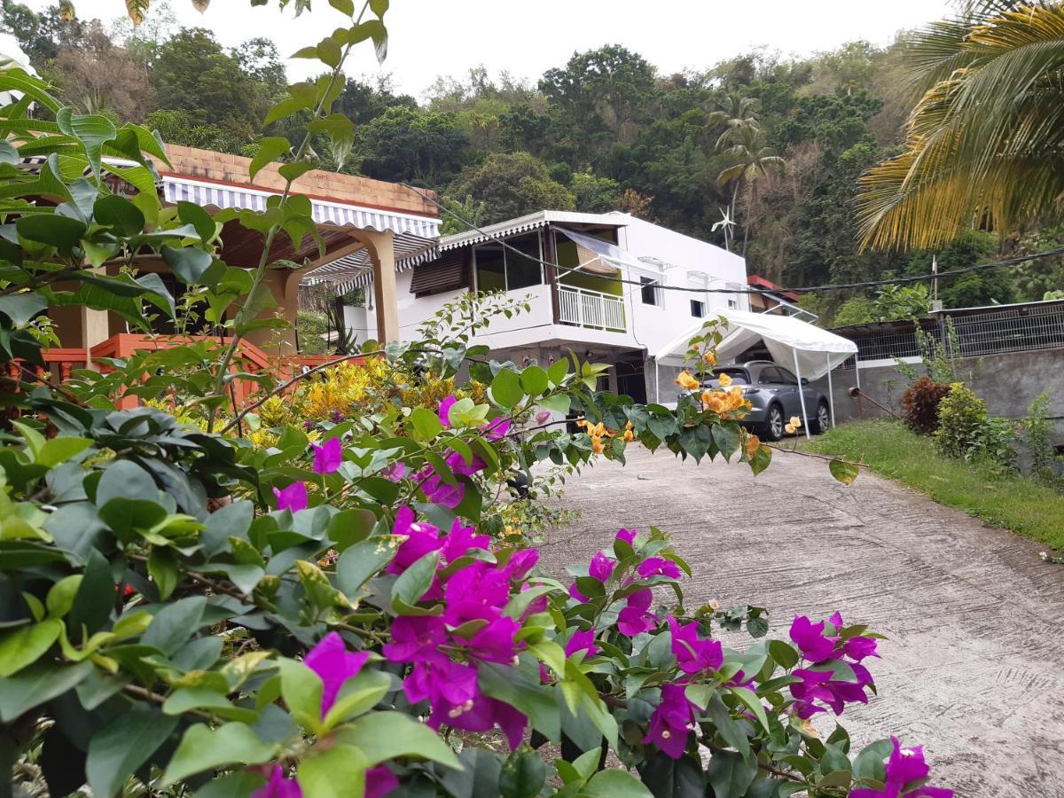 La Poulette Amazonienne Villa Rivière-Pilote Eksteriør billede