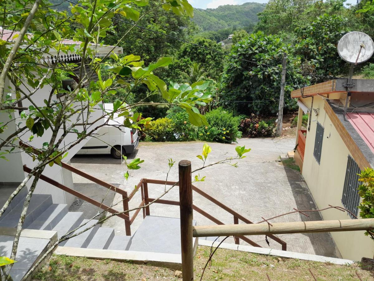 La Poulette Amazonienne Villa Rivière-Pilote Eksteriør billede