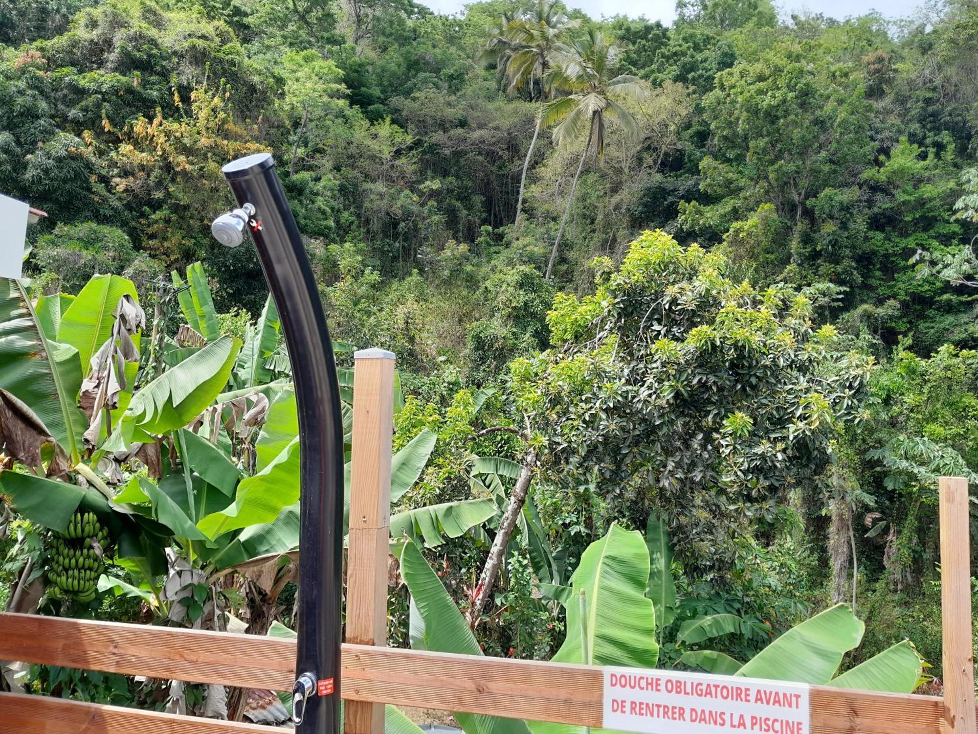 La Poulette Amazonienne Villa Rivière-Pilote Eksteriør billede